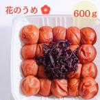 紀州南高梅 花のうめ しそ漬け 600g