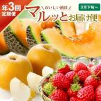 SE0484 おいしい酒田 マルっとお届け便2026