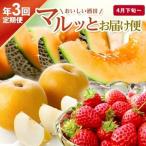 SE0485 おいしい酒田 マルっとお届け便2026