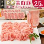 都城美鮮豚ロースしゃぶしゃぶ2.5kg 250g×10パック