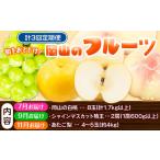岡山のフルーツ 定期便3回コース