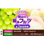 岡山の厳選フルーツ 定期便2回コース