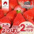 佐藤果実工房のよつぼし 1箱2パック 【佐藤果実工房