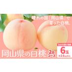 岡山の白桃2回コース 6玉