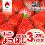 佐藤果実工房のよつぼし 約270g×3パック