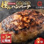 2231 ハンバーグ 8個