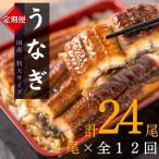 大型 うなぎ蒲焼き 計24尾