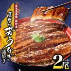1654-1 うなぎ蒲焼き2尾セット KN058-002-02
