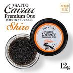 MIYAZAKI CAVIAR1983