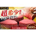 博多和牛 ヒレ シャトーブリアン 200g