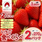 令和9年 分 旬のいちご2品種食べ比べセット