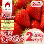 旬のいちご2品種食べ比べセット 1箱2パック
