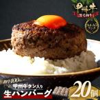 甲州牛 旨み 牛タン入り本格ハンバーグ 20個