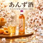 あんず酒 アルコール 12% 500ml