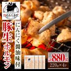 豚ホルモン にんにく 醤油味 計880g