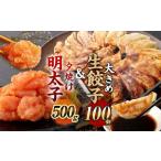 夕焼け明太子500g 大きめ餃子 100個