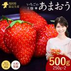 あまおう いちご 500g