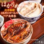 寿司 活魚料理 いそね はかりめ 穴子 2色丼