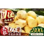 ふるさと納税 【先行予約】【数量限定】やまが和栗 大粒むき栗 約800g(約200g×4pc)小分け【古川農園】栗 小分け むき栗 大粒栗 熊本栗 山.. 熊本県山鹿市