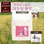 標高480mで育てた棚田米 コシヒカリ