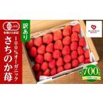 ふるさと納税 訳ありいちご とくしまオーガニックいちご（約700g）ご家庭用 徳島県徳島市