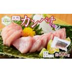 屋久島産 天然カンパチ 約500g