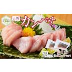 屋久島産 天然カンパチ 約1kg