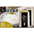 ふるさと納税 【令和6年産先行予約】【定期便6ヶ月】 Gセレクション はえぬき 精米 10kg (5kg×2袋)×6ヶ月 山形県鶴岡市産 F66-001　鶴.. 山形県鶴岡市