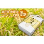 敦賀産コシヒカリ 5kg