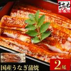うなぎ蒲焼き2尾セット