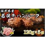 若狭牛 ハンバーグ 5個