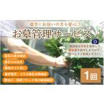 お墓管理サービス 1回
