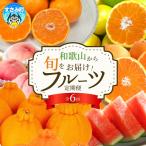定期便 和歌山旬のフルーツ定期便