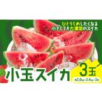 小玉スイカ 3玉