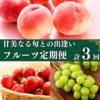 フルーツ定期便 3回 フルーツ いちご もも