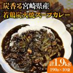 炭香る 産若鶏炭火焼スープカレー 計1.9kg
