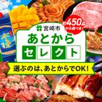 あとからセレクト 1万円_MG-001