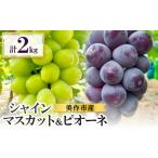 ふるさと納税 2026年先行受付 美作市産シャインマスカット1〜2房&ピオーネ2房のセット 合計2kg_果物・フルーツ ぶどう・マスカット ブドウ .. 岡山県美作市