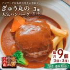 ハンバーグ ぎゅう丸ハンバーグ 3種