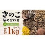きのこの詰め合わせ Sサイズ 約1kg