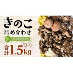 きのこの詰め合わせ Mサイズ 約1.5kg