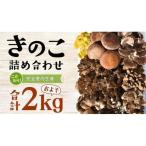 きのこの詰め合わせ Lサイズ 約2kg