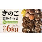 きのこの詰め合わせ Lサイズ 約2kg