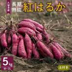 長期熟成紅はるか 5kg