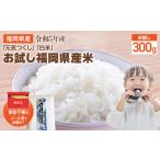 産のお米 元気つくし 白米 真空パック お試し2合 300g