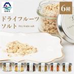 ドライフルーツソルト 6種セット B3-42_果物