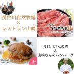 豚肉セット しゃぶしゃぶもも肉 ハンバーグ