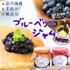 110g2種セット ブルーベリーのジャム