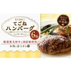 B43 クロキのてごねハンバーグ6個入り