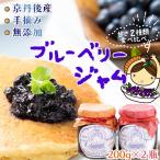 ジャム ブルーベリー200g2個